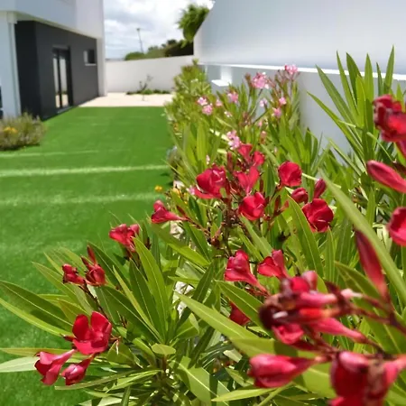 Neue Moderne Mit Privatem Pool