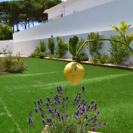 Casa Perola De Prata * Famalicão