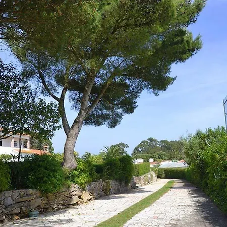 Villa Sintra וילה סינטרה
